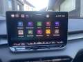 CUPRA Sonstige 1.5 eTSI DSG*PANO*AHK*TOP* Grau - thumbnail 19