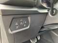 CUPRA Formentor 2.0 TSI 4DRIVE VZ MATRIX+SHZ+360+DAB - thumbnail 22