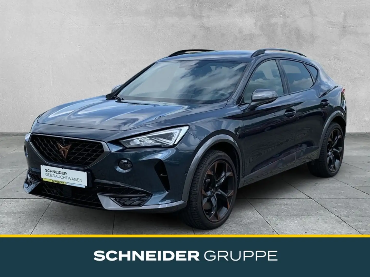 CUPRA Formentor 2.0 TSI 4DRIVE MATRIX+NAVI+SHZ+360+DA VZ MATRIX+NA - 1