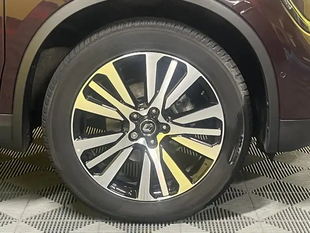 Renault Koleos view 12
