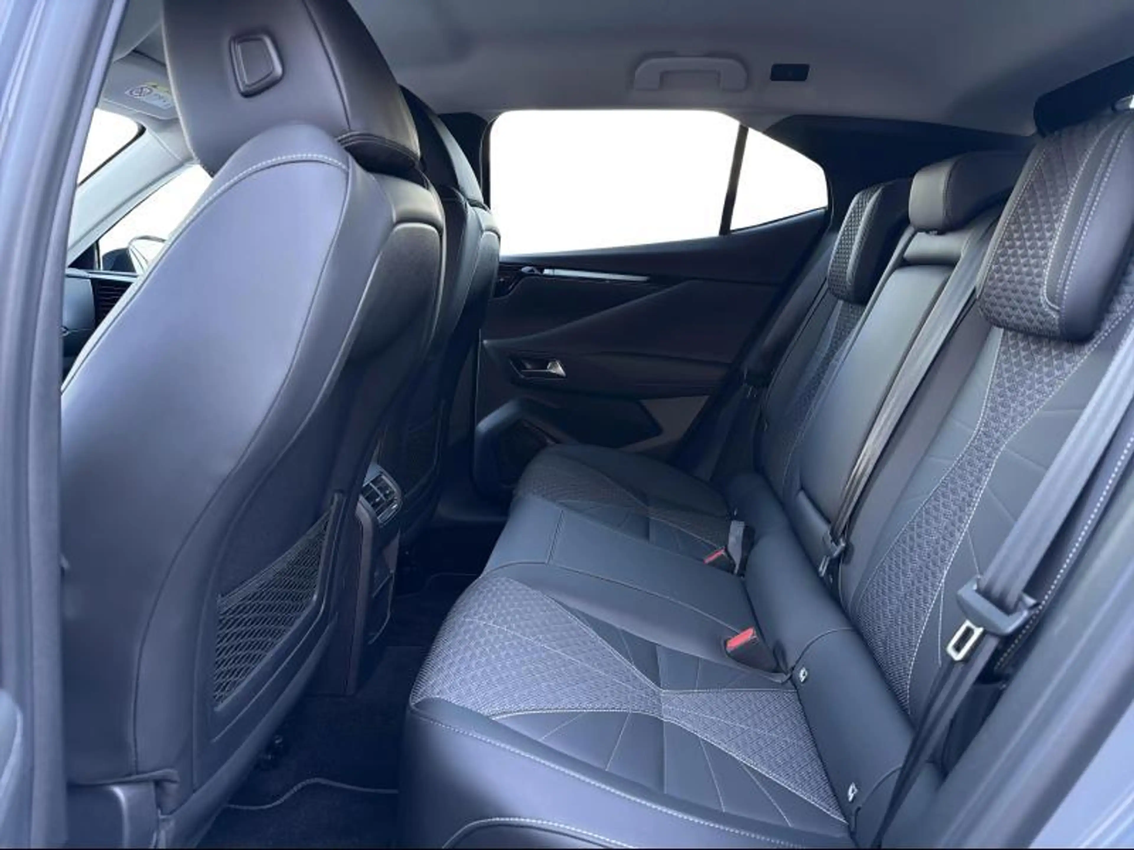 DS Automobiles DS 4 E-TENSE 215 PALLAS — photo 10