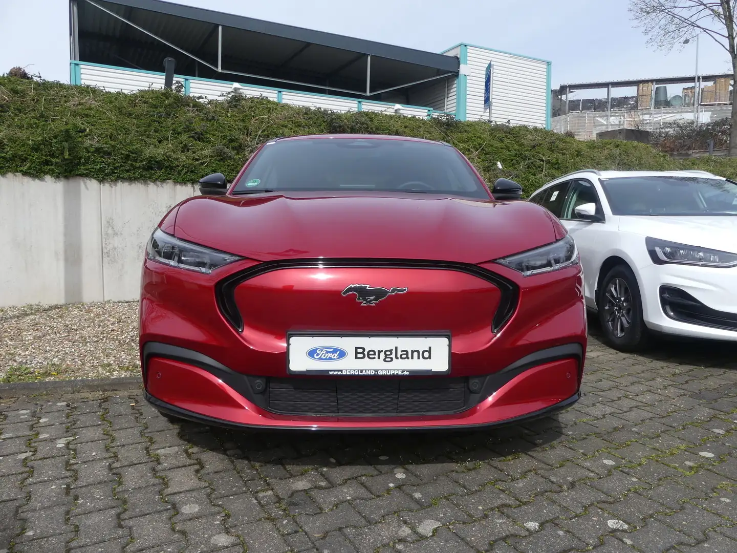Ford Mustang Mach-E AWD Dual 269PS Rot - 2