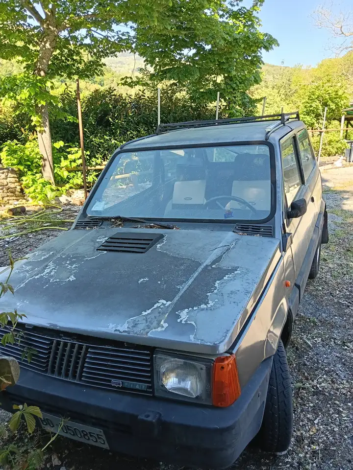 Fiat Panda 1.0 Sisley 4x4, foto 2