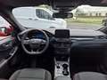 Ford Kuga 2.5 PHEV ST-Line | Winterpack | Adaptive | Elektri Rojo - thumbnail 11