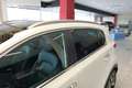 Kia Sportage 1.6 T-GDi GT Line DCT 4x4 177 Blanco - thumbnail 14