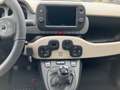 Fiat Panda MY23 Panda 4x40° TwinAir Allrad Beige - thumbnail 11