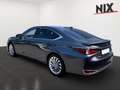 Lexus ES 300 h Luxury Line HUD Mark-Levinson LED Grau - thumbnail 2