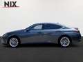 Lexus ES 300 h Luxury Line HUD Mark-Levinson LED Grau - thumbnail 3