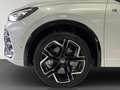 Volkswagen Tiguan R-Line 2.0 TDI 4MOTION DSG Weiß - thumbnail 10
