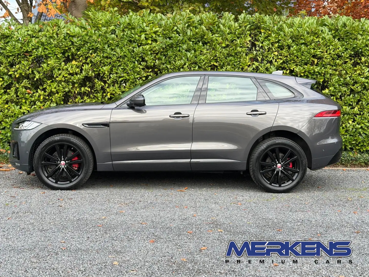 Jaguar F-Pace 3.0d S First Edition AWD Gris - 2