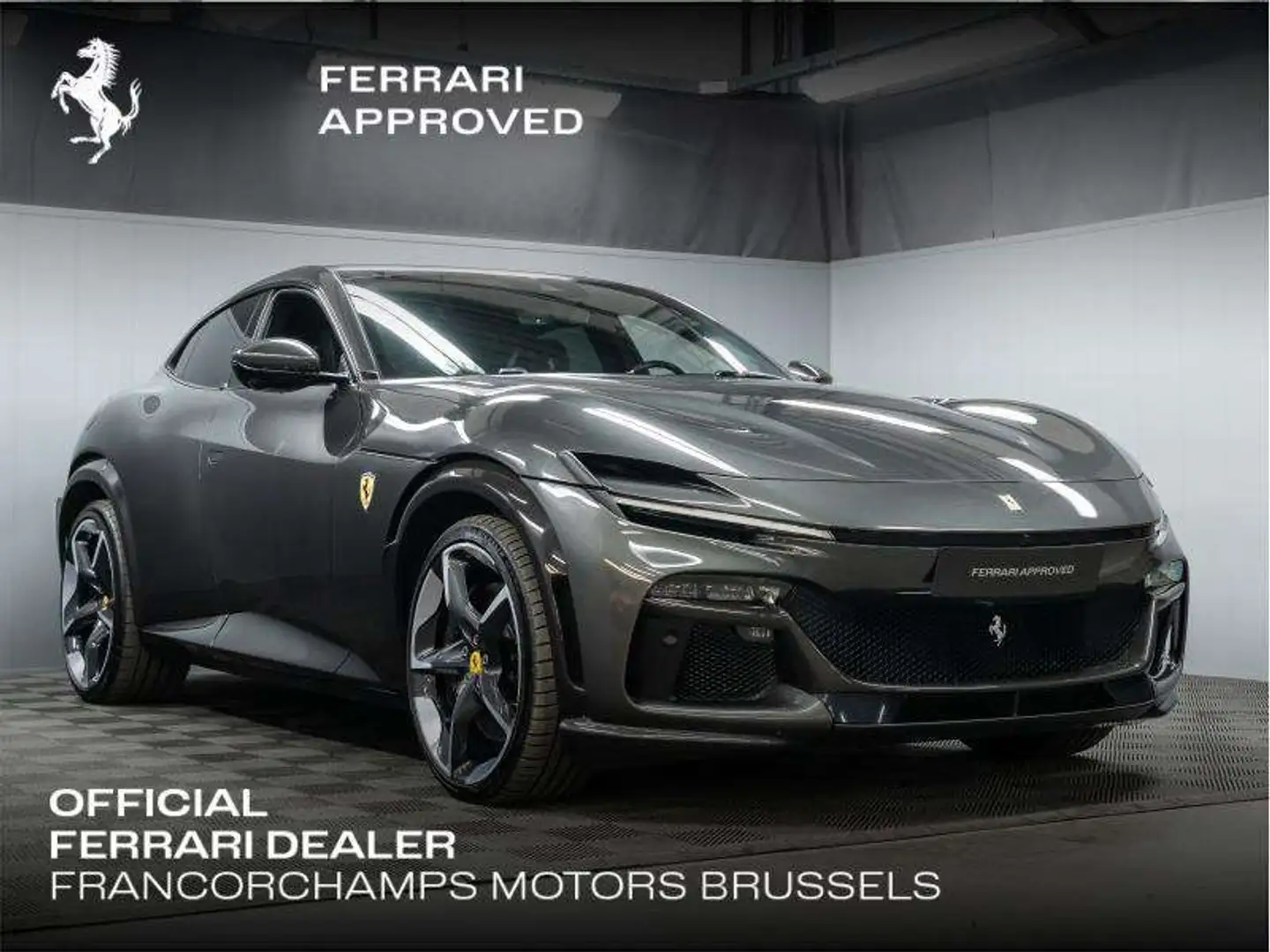 Ferrari Purosangue Gris - 1