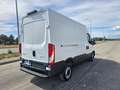 Iveco Daily 35S12V 2.3 HPT PM-TM Furgone Passo 3520 Weiß - thumbnail 5