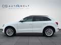 Audi Q5 2.0 TFSI  qu. S line NAVI/XENON/PDC/SHZ/LEDER Weiß - thumbnail 7