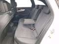 Audi A4 Avant 40TFSI S tronic S line Matrix Navi Rear View Weiß - thumbnail 11