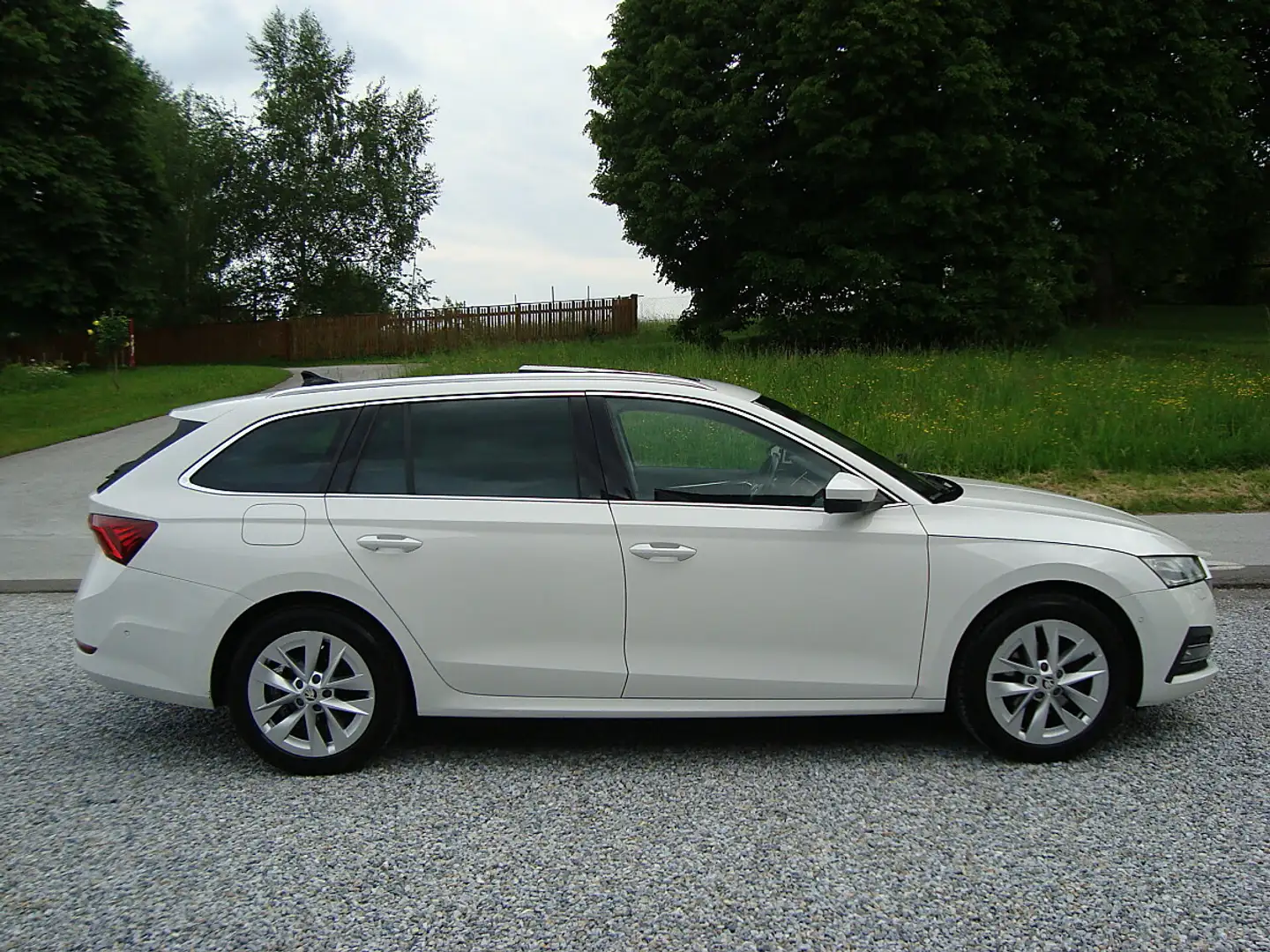 Skoda Octavia Combi 2,0 TDI Business DSG Mod 21 !! Weiß - 1