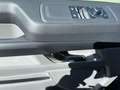 Ford Transit Custom Transit Custom L1H1 320 FWD Limited Grau - thumbnail 10