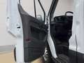 Ford TRANSIT RIBALTABILE TRILATERALE Wit - thumbnail 19