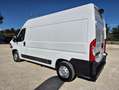 Fiat Ducato L2H2 2.3 MJT120 PACK PRO NAV - thumbnail 2