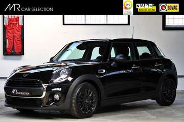 Mini 1.5 Salt | Automaat | Apple Carplay | Parkeer
