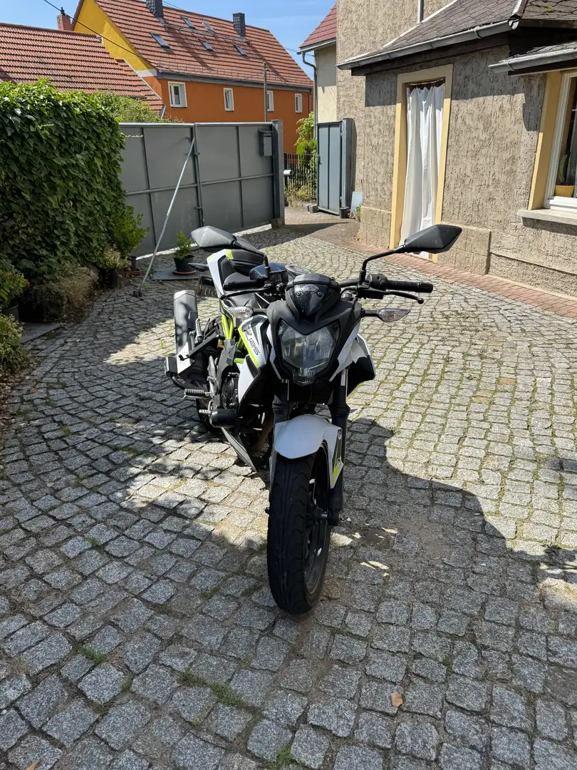 Kawasaki Z 125 - 1