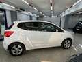 Kia Venga 1.4 crdi Active (wgt EX) 90cv Bianco - thumbnail 4