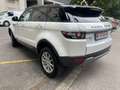 Land Rover Range Rover Evoque Pure 2,2 TD4 Aut. Weiß - thumbnail 4