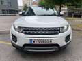 Land Rover Range Rover Evoque Pure 2,2 TD4 Aut. Weiß - thumbnail 6