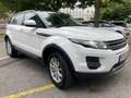 Land Rover Range Rover Evoque Pure 2,2 TD4 Aut. Weiß - thumbnail 5