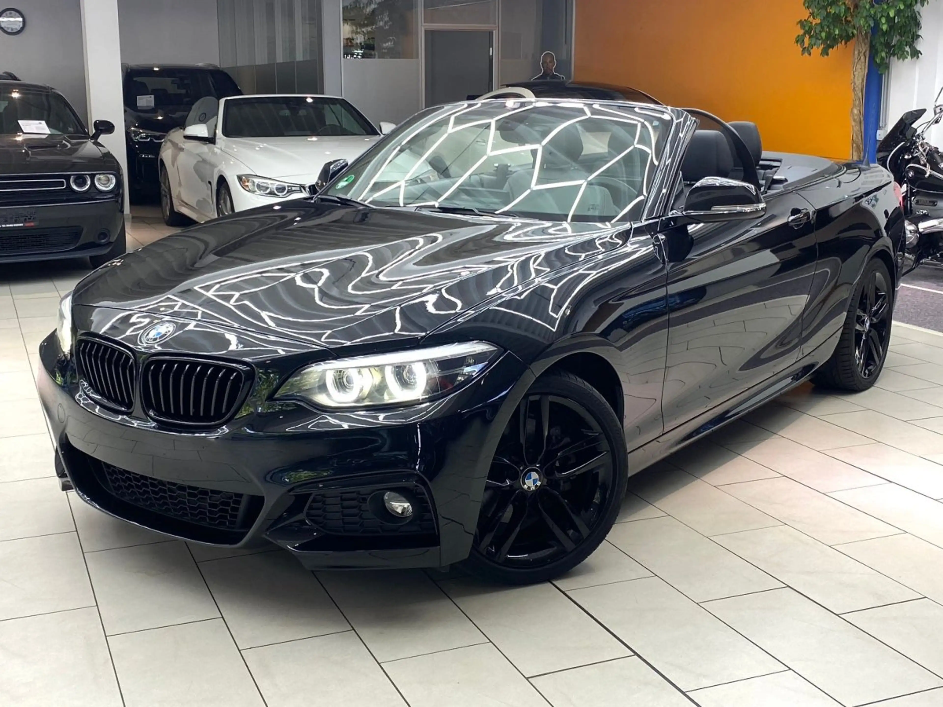 BMW 230 Cabrio M-Paket Leder Navi RueFaKa SHZ Ambiente Spo — photo 3