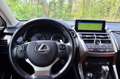 Lexus NX 300 NX I 2018 300h 2.5 Luxury 4wd cvt Rood - thumbnail 14