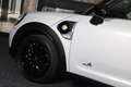 MINI Cooper S Countryman Mini 2.0 E ALL4 Chili / AUT / Dig Cockpit / CC / O Blanco - thumbnail 37