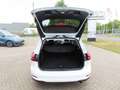 Ford Focus Aut. Titan. NAVI+LED+RFK+iACC+SHZ+TWA+GJR Wit - thumbnail 9
