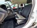 Ford Focus Traveller 1,5 TDCi Trend Weiß - thumbnail 8