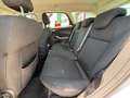 Ford Focus Traveller 1,5 TDCi Trend Weiß - thumbnail 12
