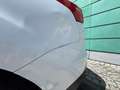 Ford Focus Traveller 1,5 TDCi Trend Weiß - thumbnail 5