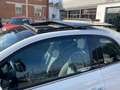 Fiat 500 1.2 Lounge 69CV DUAL LOGIC// 24 MESI DI GARANZIA// Blanco - thumbnail 18