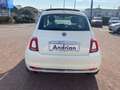 Fiat 500 1.2 Lounge 69CV DUAL LOGIC// 24 MESI DI GARANZIA// Bianco - thumbnail 6