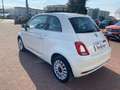 Fiat 500 1.2 Lounge 69CV DUAL LOGIC// 24 MESI DI GARANZIA// Bianco - thumbnail 5