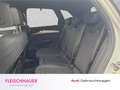 Audi Q5 S line 40 TDI quattro Navi+Matrix+ACC+CarPlay+LM21 Weiß - thumbnail 10
