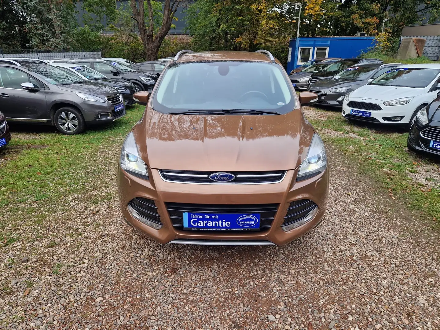 Ford Kuga 1.6T AUTOMATIK 4X4 Xenon 62Tkm Sitzhzg Tempom 2Hnd Braun - 2