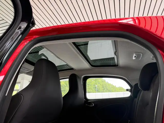 smart Forfour view 17