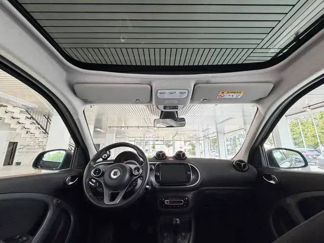 Smart Forfour view 15