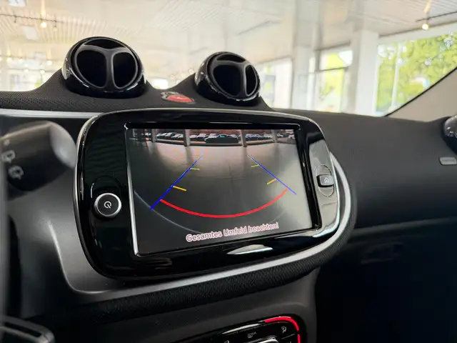 smart Forfour view 19