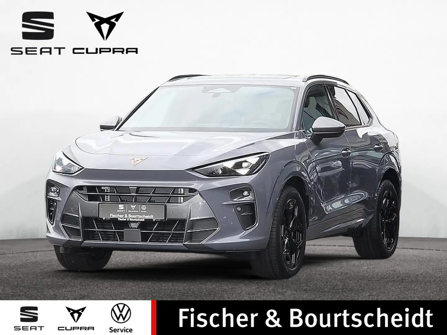 CUPRA Terramar 2.0 TSI 4Drive AHK PANO MATRIX LED F Gris - 1