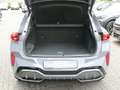 CUPRA Terramar 2.0 TSI 4Drive AHK PANO MATRIX LED F Gris - thumbnail 9