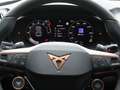 CUPRA Terramar 2.0 TSI 4Drive AHK PANO MATRIX LED F Gris - thumbnail 12