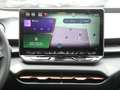 CUPRA Terramar 2.0 TSI 4Drive AHK PANO MATRIX LED F Gris - thumbnail 11