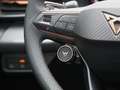 CUPRA Terramar 2.0 TSI 4Drive AHK PANO MATRIX LED F Gris - thumbnail 13