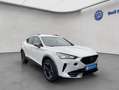 CUPRA Formentor 1.5 TSI DSG NAVI RFK PLA ACC SHZ LED Weiß - thumbnail 8