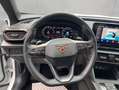 CUPRA Formentor 1.5 TSI DSG NAVI RFK PLA ACC SHZ LED Weiß - thumbnail 11